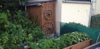 Orto sul terrazzo 892 0 L ORTO SUL TERRAZZO